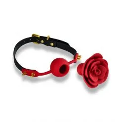 ZALO Bâillon à Trou Rose Ball Gag