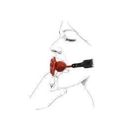 ZALO Bâillon à Trou Rose Ball Gag -Sextoy Soldes baillon a trou rose ball gag 03