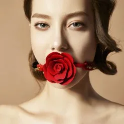 ZALO Bâillon à Trou Rose Ball Gag -Sextoy Soldes baillon a trou rose ball gag 04