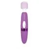 BodyWand Wand Rechargeable