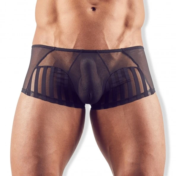 Svenjoyment Boxer Tulle & Résille 2 Svenjoyment Boxer Tulle & Résille – Image 2