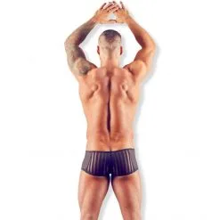 Svenjoyment Boxer Tulle & Résille 14 Svenjoyment Boxer Tulle & Résille -Sextoy Soldes boxer tulle resille noir 05