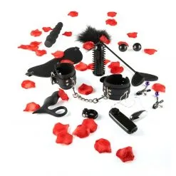 ToyJoy Coffret Amazing Pleasure Sex Toy -Sextoy Soldes coffret amazing pleasure toy joy 2