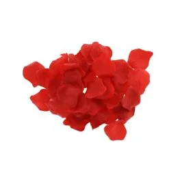 ToyJoy Coffret Amazing Pleasure Sex Toy -Sextoy Soldes coffret amazing pleasure toy joy 7