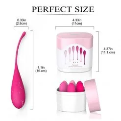 FeelzToys Coffret FemmeFit -Sextoy Soldes coffret femme fit 4