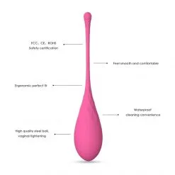 FeelzToys Coffret FemmeFit -Sextoy Soldes coffret femme fit 5