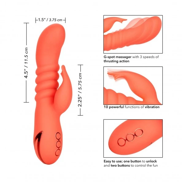 CalExotics Rabbit Orange County Cutie 4 CalExotics Rabbit Orange County Cutie – Image 4