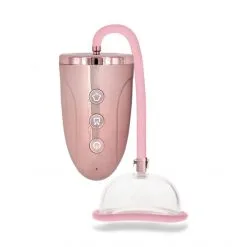 Pumped Automatic Rechargeable Pussy Pump Set