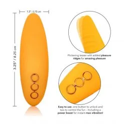 CalExotics Stimulateur Hollywood Hottie 11 CalExotics Stimulateur Hollywood Hottie -Sextoy Soldes stimulateur hollywood hottie california dreaming 04