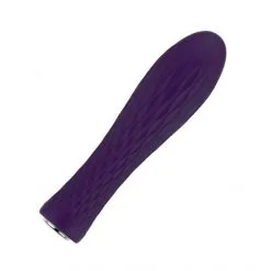 Nalone Vibromasseur Ian -Sextoy Soldes vibromasseur ian nalone violet 2